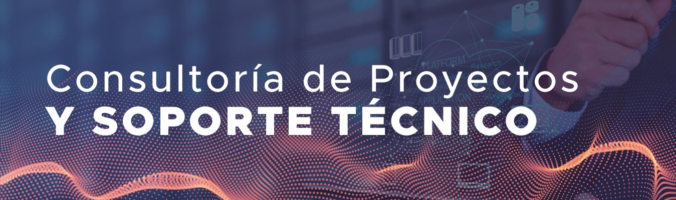 Consultoría de Proyectos y Soporte Técnico